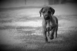 0T1A4665s2