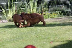 0T1A4714s