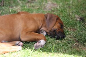 0T1A5469s