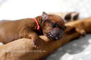 T1A0155 (1)