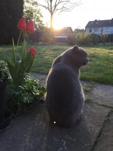 Garten-002