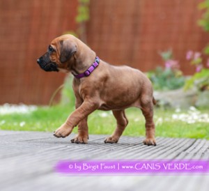 LILA_0T1A2531bf